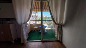 Beautiful flat